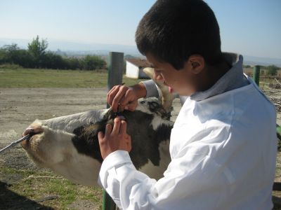 НПГВМ - National Vocational High School of Veterinary Medicine Prof. Dr. D. Dimov - Lovech