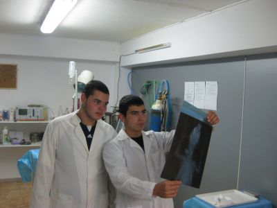 НПГВМ - National Vocational High School of Veterinary Medicine Prof. Dr. D. Dimov - Lovech