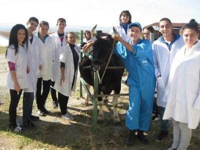 НПГВМ - National Vocational High School of Veterinary Medicine Prof. Dr. D. Dimov - Lovech