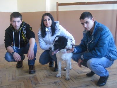 НПГВМ - National Vocational High School of Veterinary Medicine Prof. Dr. D. Dimov - Lovech