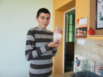 НПГВМ - National Vocational High School of Veterinary Medicine Prof. Dr. D. Dimov - Lovech